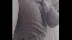 Small cock pee with precum dripping Thumb