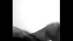 PAJA Thumb