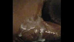 African Cock Thumb