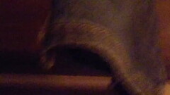 Pussy Thumb