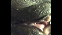 Candylious Thumb