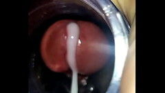 POV cum in fleshlight Thumb