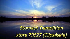 Stomach Sitting in The Woods (Stomach Demolition) Thumb