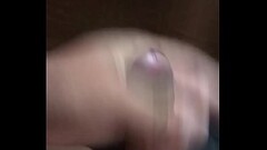 chim to th&egrave_m loz Thumb