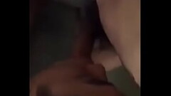 b&uacute_ cu đi&ecirc_u luyện Thumb