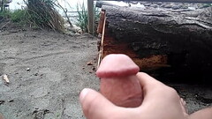Playing on the beach Thumb