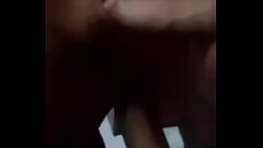 Adelaidenovaes No oral No carteiro Thumb