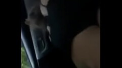 She Wanted To Fuck Thumb