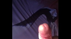 Let'_s suck my cock Thumb