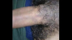 Verga grande Thumb