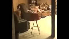 Creep up to some raw sex with Booboo and Jenny Slim Thumb