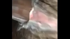 Hairy creamy pussy Thumb