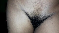 Indian star Thumb