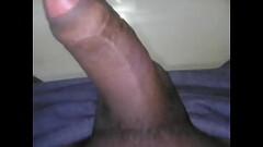 nic ani Thumb