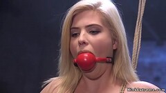 b. slave trainers fucking blonde student Thumb