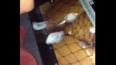 Long d cole cum tribute for mariahtroietta Thumb