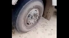 Truck driver shinda Thumb