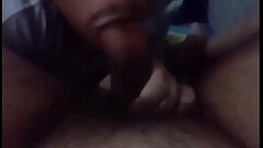Capacho mamando at&eacute_ o talo Thumb