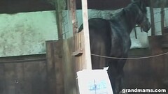 Old farmer wife takes the hard cock in the backyard Thumb