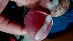 Pura leche 2 Thumb