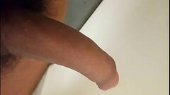 Indian cock Thumb