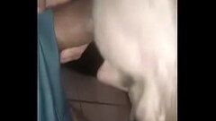 My sexii wife sucking my fat cock Thumb