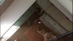 cogiendo con morrita de 19 en hotel(sin audio) Thumb