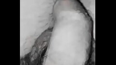 Peter bear cock Thumb
