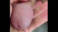 Miskupa Geiler Schwanz Thumb