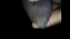 Night Panis Thumb
