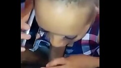 mexicana infiel mamando verga y cornudo le llama por celular Thumb