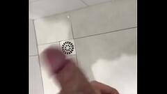 Novinho de S&atilde_o Paulo Thumb