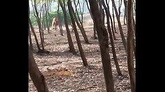 Vaghari aunty outdoor 5 Thumb