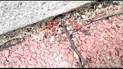 Red slut fucked by a hairy mach with the song of Sweet Dreams BR Funk Remix mp3. Thumb