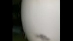 Bounce that ass Thumb
