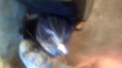 VID 20180304 170718 Thumb