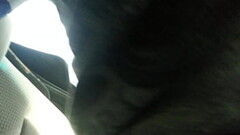 20180224 072852 Thumb