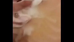 F063E3D8-5A73-42FD-BFEB-EB3047803BA7.MOV Thumb