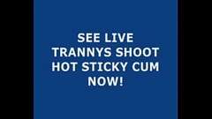 Live Tranny Cum 140 Thumb