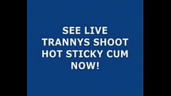 Live Tranny Cum 125 Thumb