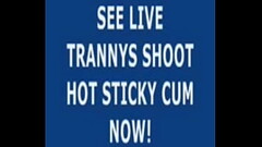 Live Tranny Cum 93 Thumb