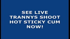 Live Tranny Cum 36 Thumb