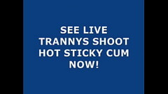 Live Tranny Cum 25 Thumb