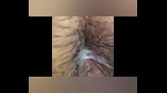 Latino Breeding Thumb
