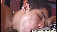 You are going to be my personal pegging slave Thumb