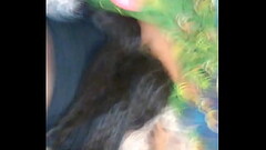 VID 20171223 113136 Thumb