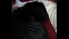 0EA3DF63-A7B2-41D1-BA2E-0938F1D895EF.MOV Thumb