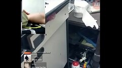 Chim to phết Thumb