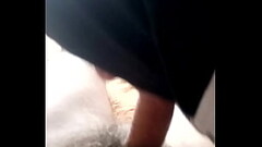 VID 20171022 143459[1] Thumb