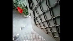 sớm l&agrave_ nứng cặc Thumb